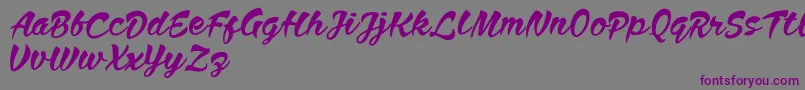 En savoir plus sur la police Anthem Nasney Police Anthem Nasney – polices violettes sur fond gris