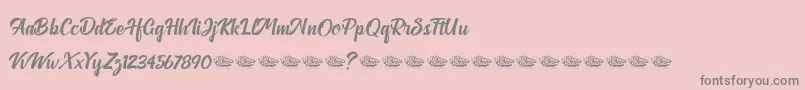 More about Anthemie Font Anthemie Font – Gray Fonts on Pink Background