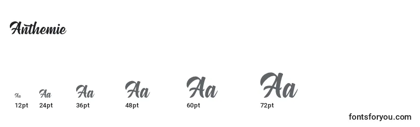 Anthemie Font Sizes
