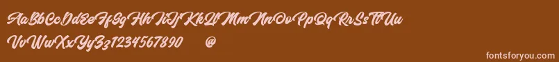 More about Anthemis Personal Use Only Font Anthemis Personal Use Only Font – Pink Fonts on Brown Background