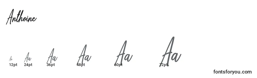 Anthoine Font Sizes