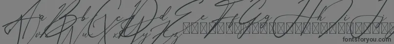 フォントAnthoniSignature – 黒い文字の灰色の背景