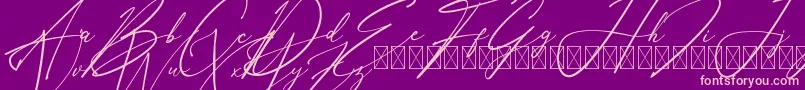 AnthoniSignature Font – Pink Fonts on Purple Background