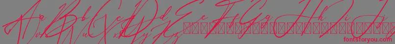 AnthoniSignature-fontti – punaiset fontit harmaalla taustalla