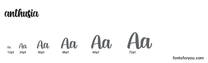 Размеры шрифта Anthusia