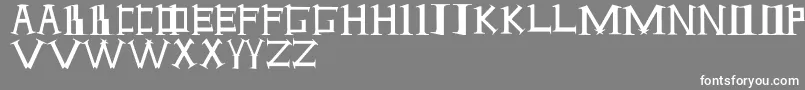 フォントANTI – 灰色の背景に白い文字