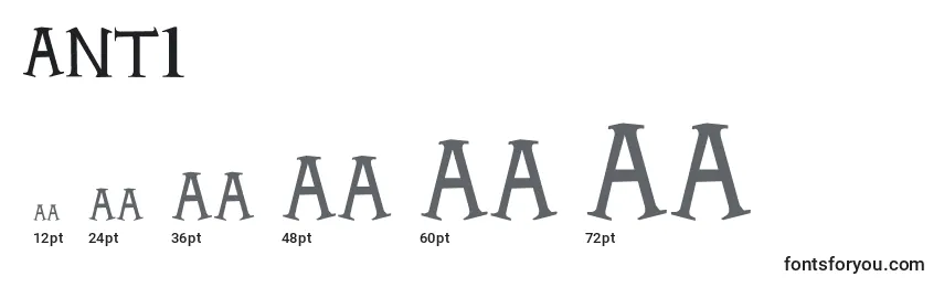 Размеры шрифта ANTI