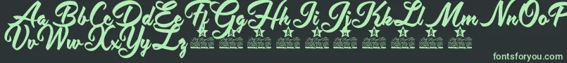 Antidote Personal Use Font – Green Fonts on Black Background