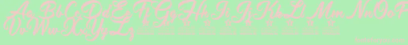 Antidote Personal Use Font – Pink Fonts on Green Background