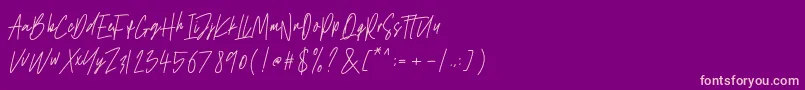 Antilkat Font – Pink Fonts on Purple Background