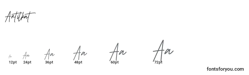Размеры шрифта Antilkat