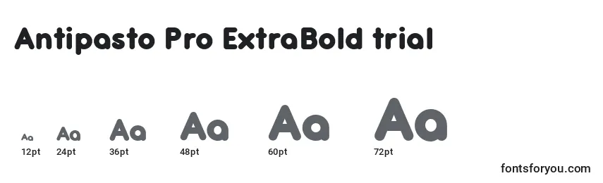 Размеры шрифта Antipasto Pro ExtraBold trial