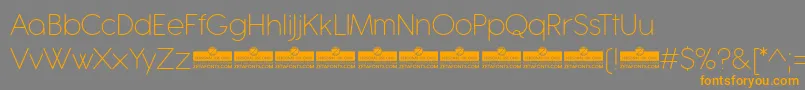 Antipasto Pro ExtraLight trial Font – Orange Fonts on Gray Background