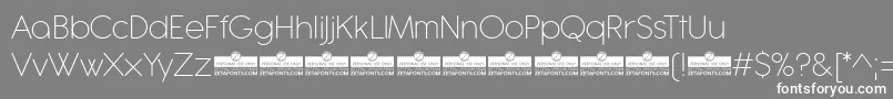 Antipasto Pro ExtraLight trial Font – White Fonts on Gray Background