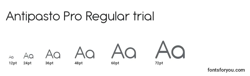 Размеры шрифта Antipasto Pro Regular trial