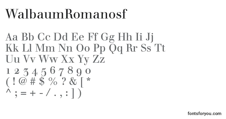 Шрифт WalbaumRomanosf – алфавит, цифры, специальные символы
