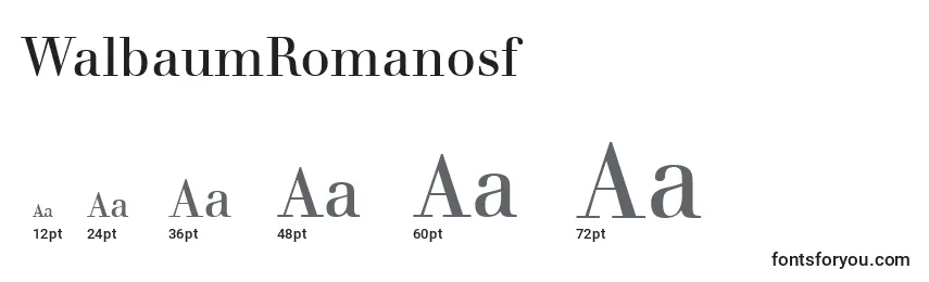 WalbaumRomanosf Font Sizes