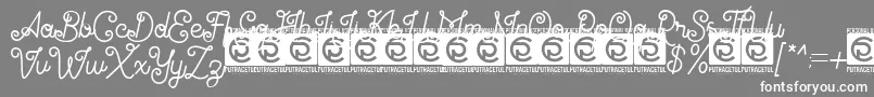 Antiqueline FreeVersion Font – White Fonts on Gray Background