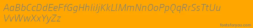 Augustsans46lightitalic Font – Gray Fonts on Orange Background