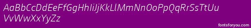 Augustsans46lightitalic Font – White Fonts on Purple Background