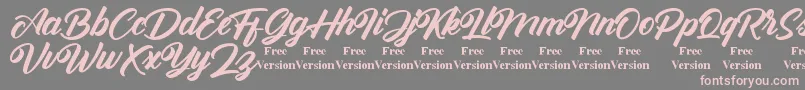Antonellie Callygraphy Demo Font – Pink Fonts on Gray Background