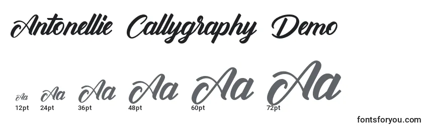 Размеры шрифта Antonellie Callygraphy Demo
