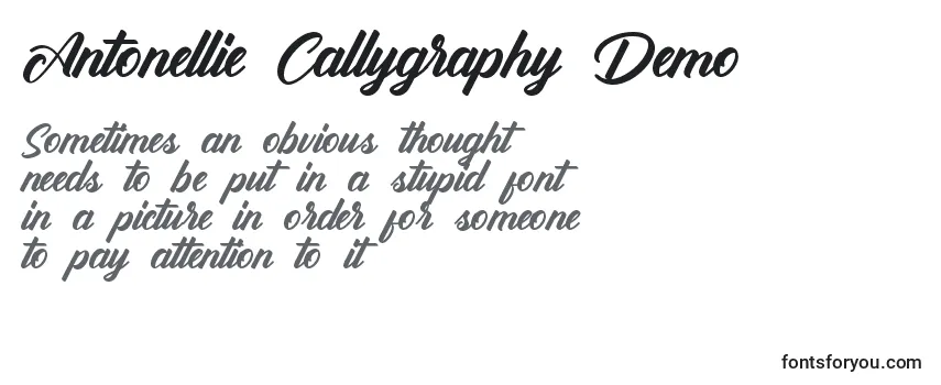 Review of the Antonellie Callygraphy Demo Font