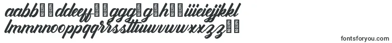 Weitere Informationen zur Antonellie Callygraphy Demo-Schriftart Antonellie Callygraphy Demo-Schriftart – maltesische Schriften