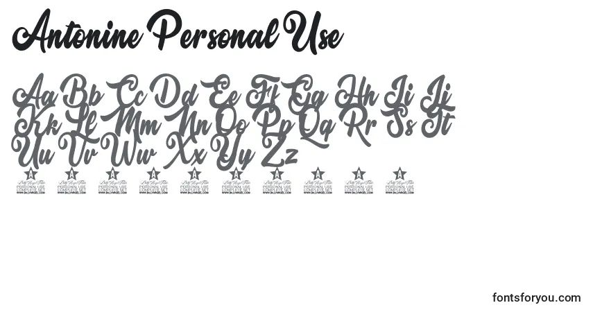 Czcionka Antonine Personal Use – alfabet, cyfry, specjalne znaki