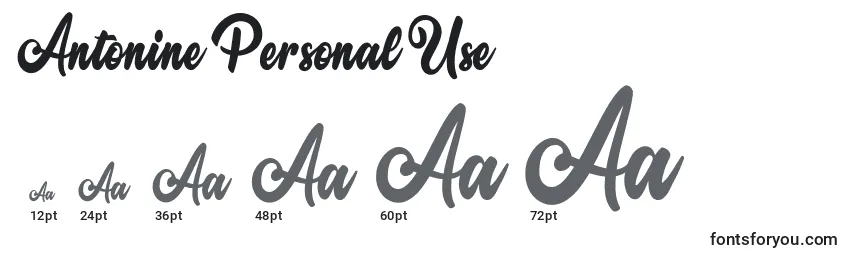 Размеры шрифта Antonine Personal Use