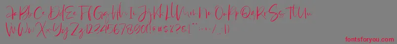 Antosan Demo Font – Red Fonts on Gray Background