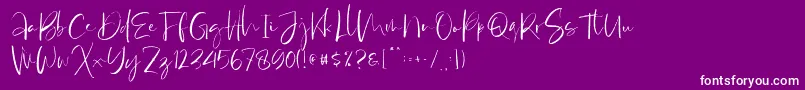 フォントAntosan Demo – 紫の背景に白い文字