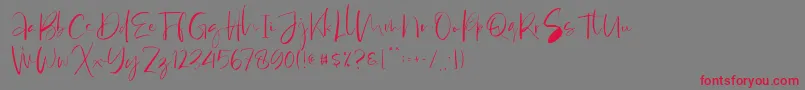 フォントAntosan Demo – 赤い文字の灰色の背景