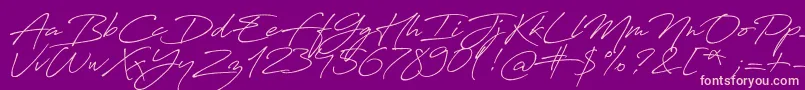 Czcionka Antro Vectra Bolder – różowe czcionki na fioletowym tle