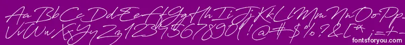 Antro Vectra Bolder Font – White Fonts on Purple Background