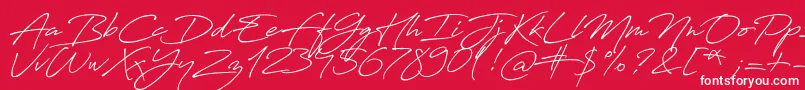 Antro Vectra Bolder Font – White Fonts on Red Background