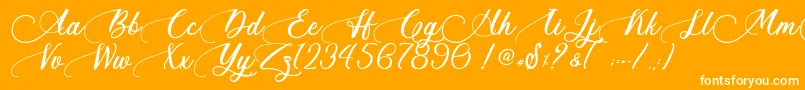 Ants Valley   Personal Use Font – White Fonts on Orange Background