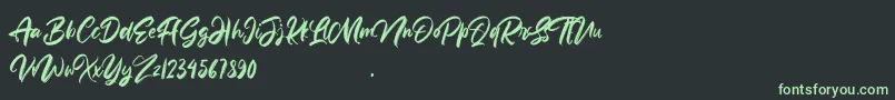 Anttisol Font – Green Fonts on Black Background