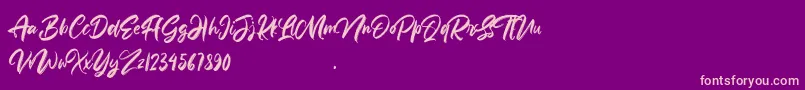 Anttisol Font – Pink Fonts on Purple Background