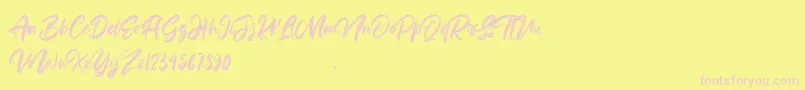 Anttisol Font – Pink Fonts on Yellow Background