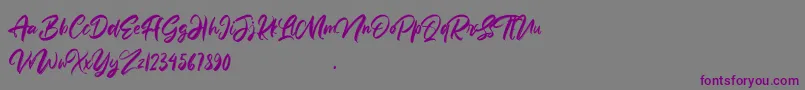 Anttisol Font – Purple Fonts on Gray Background