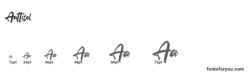 Anttisol Font Sizes