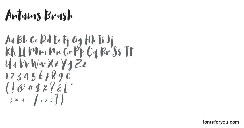 Шрифт Antums Brush – алфавит, цифры, специальные символы