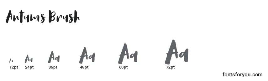 Antums Brush Font Sizes