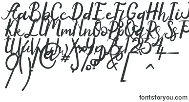 Anyone font – calligraphic Fonts