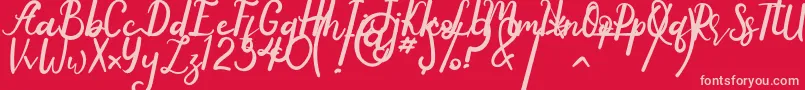 Anyone Font – Pink Fonts on Red Background