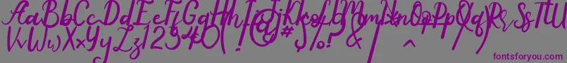 Anyone Font – Purple Fonts on Gray Background