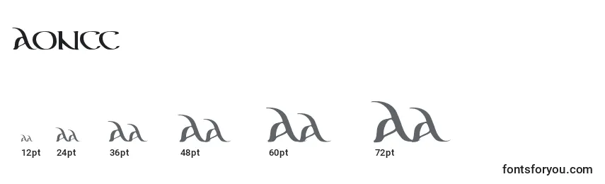 Размеры шрифта AONCC    (119794)