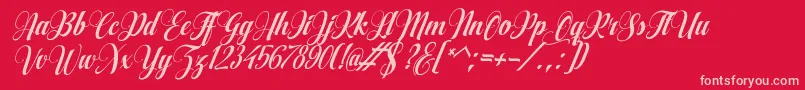 AqualitaItalic Font – Pink Fonts on Red Background