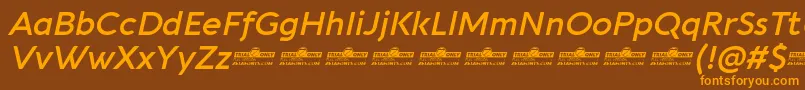 Aquawax Pro DemiBold Italic trial Font – Orange Fonts on Brown Background